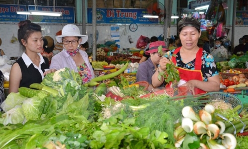 Xác minh rõ nghi vấn rau bẩn lọt vào 7 trường tiểu học ở Hà Nội